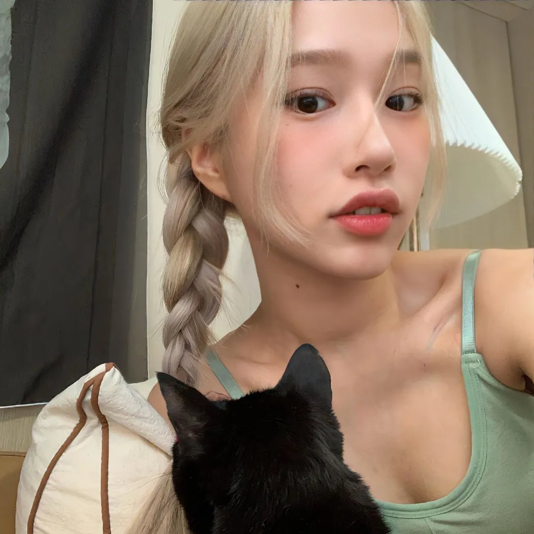 战鸽总动员